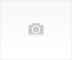 Burun Ameliyatlarında Merak Ettiklerimiz 